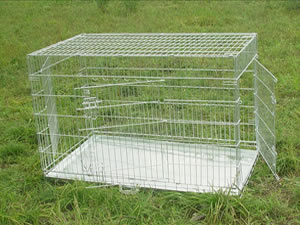 proselect dog cages